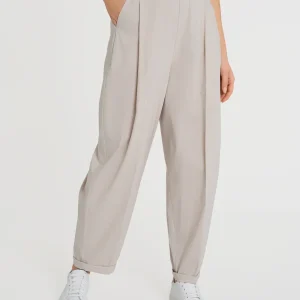 Pantalone a carota con tasche e pinces in Super Fresh - Champignon