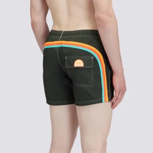 Boxer mare verde con banda