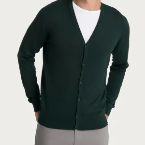 Cardigan Four Seasons - Scarab