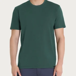 T-shirt girocollo in jersey di cotone - Dark Forest