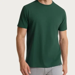 T-shirt girocollo in jersey di cotone - Pineneedle