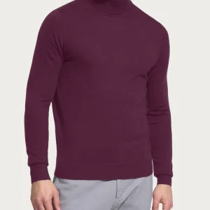 Dolcevita a maglia unita in Merino Soft - Fig