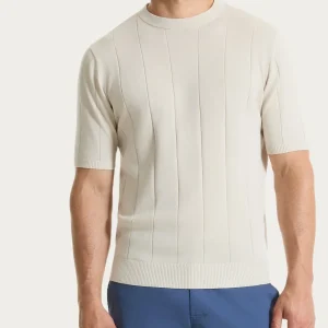 Maglia con manica corta a costa piatta in Puro Cotone - Champignon