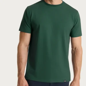 Maglietta girocollo in Jersey Double Mercerized - Pineneedle