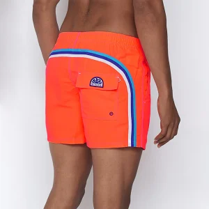 Boxer mare arancio con banda