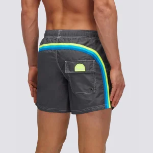 Boxer mare grigio con banda