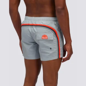 Boxer mare grigio chiaro con banda