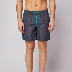 Boxer mare antracite