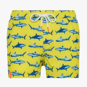 Boxer mare con fantasia squali